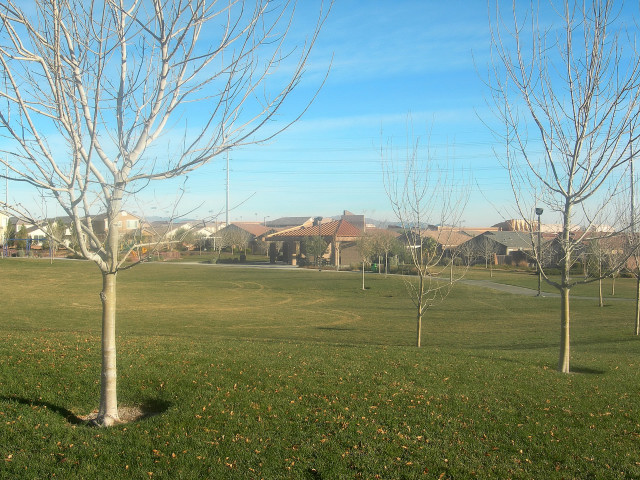 Ridgebrook-park-2